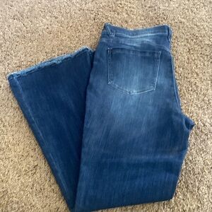 Size 16 Democracy Jean pants